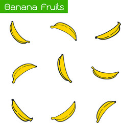 Banana, Counterfoil, Fruit, Food, Herbaceous Plant, Vegetarian, Sweet, Palm, Meal, 
Snack, Dessert, Ripe, Raw, Nutrition, Nutritious, Bunch, Vegan, Skin, Yellow, 
Tropical, Cultivated, Healthy, Eating