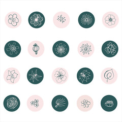 Flowers flat line icons. Graceful sign boards for a flower shop. Covers stories, covers. Icons