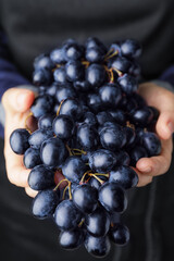 Woman with fresh grapes, closeup