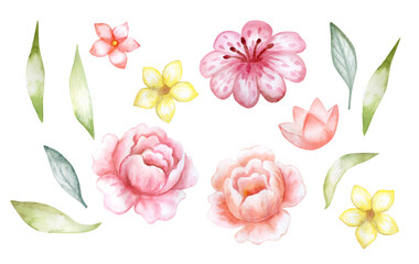 Set of flowers and leaves. Roses, tropical elements, botanical watercolor jungle illustrations, floral elements isolated on white background. Greeting card design.