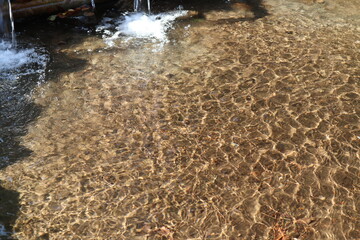 wash in the water