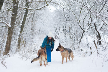 Naklejka premium Young woman, wearing blue ski suit,walking with two german shepherds in snow in park. Female master training her dogs in forest with bare trees. Winter vacation activities.