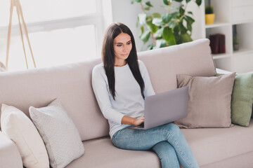 Photo of serious focused young woman sit sofa type message on laptop work form home indoors inside house