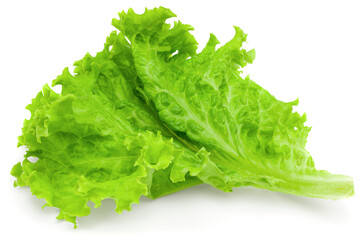 one salad leaf isolated on a white background. full depth of field. clipping path