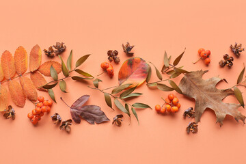 Composition with autumn leaves on color background