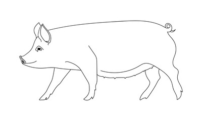 Pig outline silhouette. Pork, farm animal symbol. Hand drawn sketch. Vector illustration.
