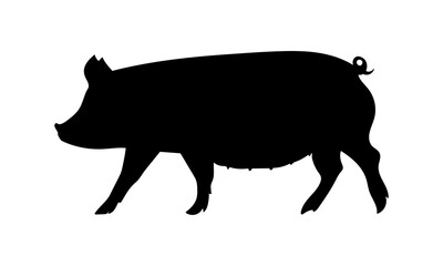 Pig icon or silhouette. Pork, farm animal symbol.  Vector illustration.