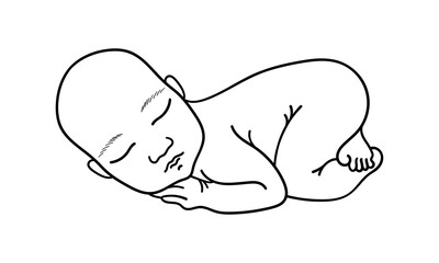Sleeping baby. Newborn outline icon. Vector illustration.
