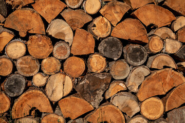 Close up logs in a row. Wooden circles on trees. Logs for processing