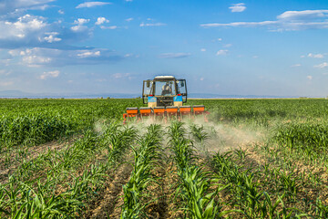 Tractor in the field applies fertilizer to the soil