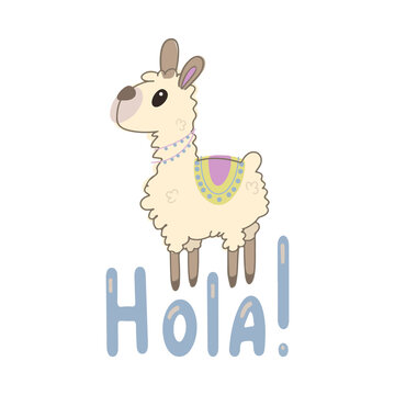 Vector color children's illustration, poster, print with a cute llama on a white background. Alpaca. Cute baby animals. Llama with Hola Press