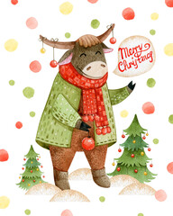 Bull dad watercolor card in green winter jacket with red scarf. The bull symbol congratulates everyone on Christmas. Illustration for New Year and Christmas cards