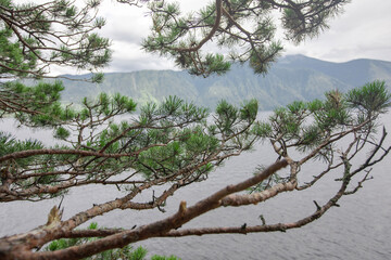 Lake with mountains in the background is located through large tree branches. Nature concept
