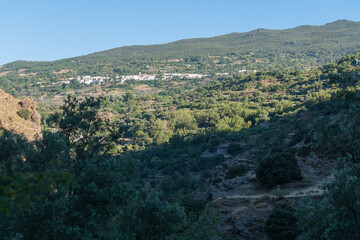 Fototapeta na wymiar Pitres a town on the slope of the Sierra Nevada mountain