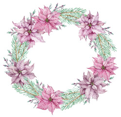 Watercolor Christmas poinsettia wreath with pine branches. Circle winter frame. New Year's floral card.