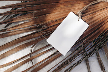 Blank gift, product tag mock-up with natural rope on dry palm leaves. Closeup of empty paper label in sunlight with shadows. Tropical still life composition. Branding, summer sale concept. Top view.