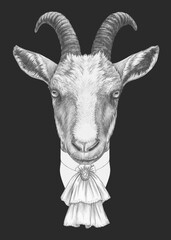 Portrait of Aristocrat Goat. Hand-drawn illustration.