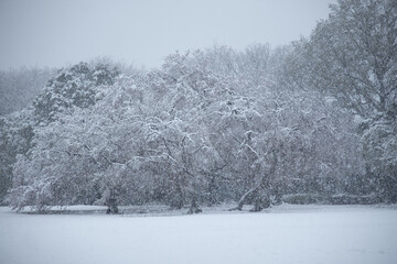 吹雪の公園
