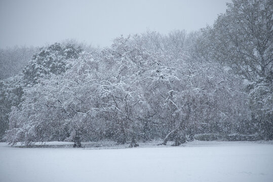 吹雪の公園
