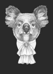 Portrait of Aristocrat Koala. Hand-drawn illustration.