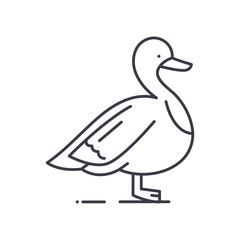 Duck icon, linear isolated illustration, thin line vector, web design sign, outline concept symbol with editable stroke on white background.