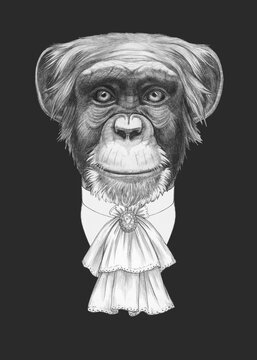 Portrait of Aristocrat Monkey. Hand-drawn illustration.
