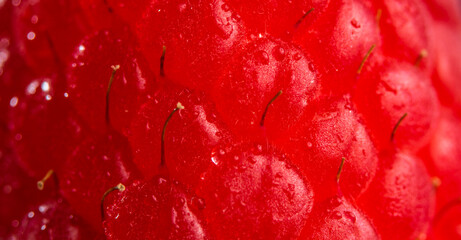 Fresh raspberry extreme close-up as background