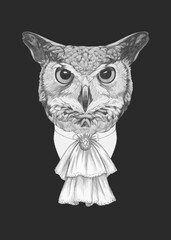 Portrait of Aristocrat Owl. Hand-drawn illustration.