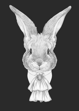 Portrait of Aristocrat Rabbit. Hand-drawn illustration.