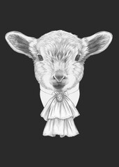 Portrait of Aristocrat Lamb. Hand-drawn illustration.