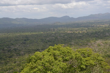 Fototapeta premium landscape in the morning