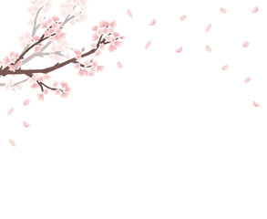 桜　枝　水彩　手描き
