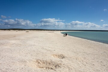 Fototapeta na wymiar Shell Beach in Western Australia near the Denham city with nice white color