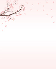 桜　フレーム ピンク　上下　メッセージ　水彩　手描き
