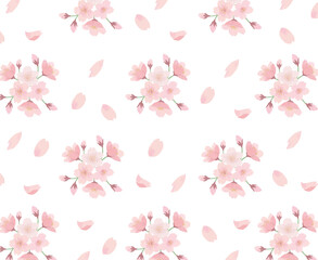 桜　白背景　パターン 水彩　手描き
