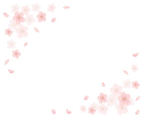 桜　フレーム 白背景　水彩　手描き
