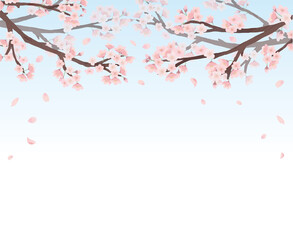 桜　フレーム 青背景　水彩　手描き
