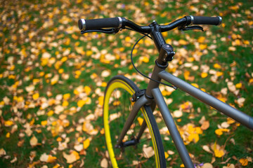 Fototapeta na wymiar Bicycle in city park on a grass with autumn leaves as background