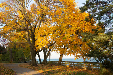 Fall at Lake Ontario
