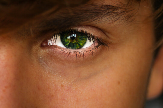 weheartit green eyes