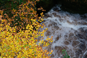 Autumn colours with river
