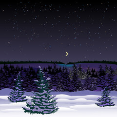 View of landscape of snowy forest at the night.