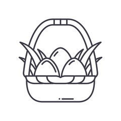 Eggs in basket icon, linear isolated illustration, thin line vector, web design sign, outline concept symbol with editable stroke on white background.