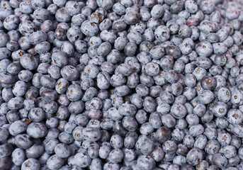 berries blueberry texture background