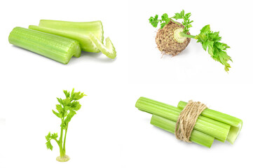 Group of celery isolated on a white background