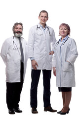 group of diverse medical professionals . isolated on a white