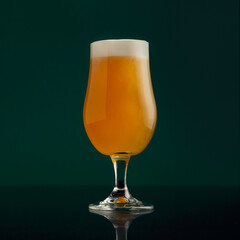 Light craft drink, pint of beer and favorite lager on Friday night in pub