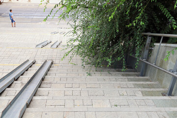Branches of the tree block part of the path for pedestrians the stairs. The ramp for the disabled is clear
