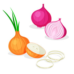 Set of whole, half, cut slice, rings and piece of onion isolated on white background. Red and white onions. Vegan food vector vegetable icons in a trendy cartoon style. Healthy food concept.	