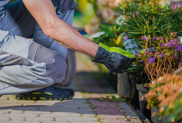 Naklejka premium Caucasian Gardener Buying New Plants For His Garden Project